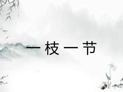 一枝一节