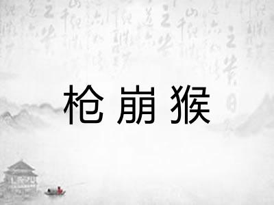 枪崩猴