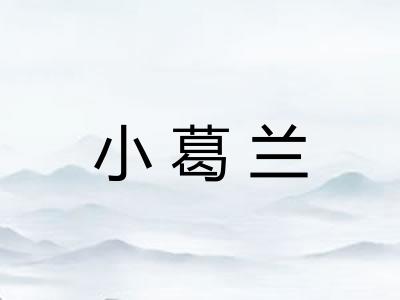 小葛兰