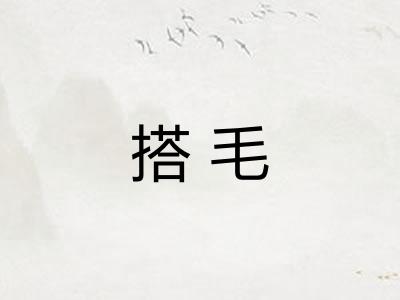 搭毛