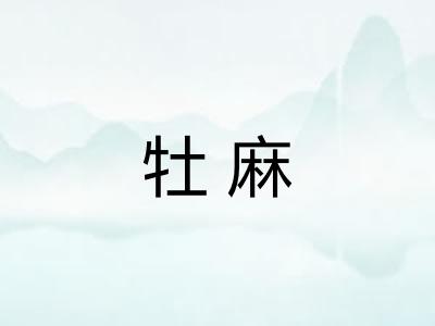 牡麻