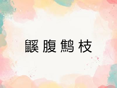 鼷腹鹪枝