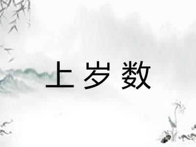 上岁数