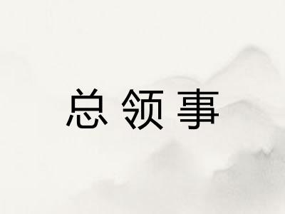 总领事