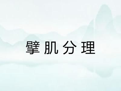 擘肌分理