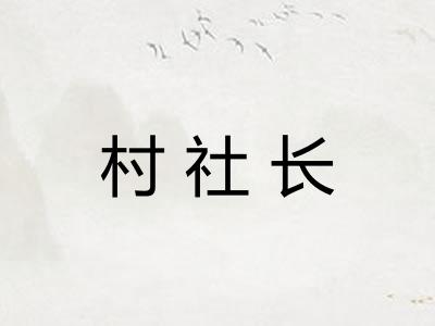 村社长