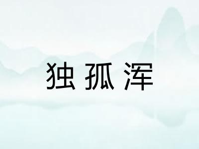 独孤浑