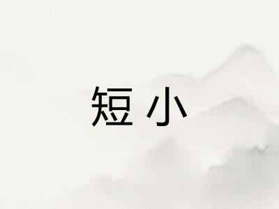 短小
