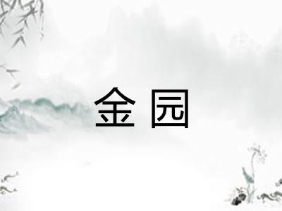金园