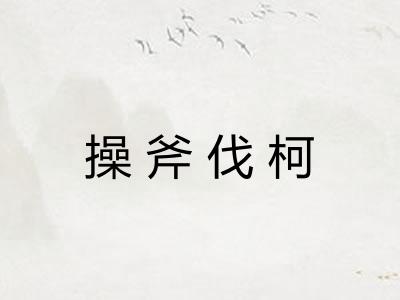 操斧伐柯