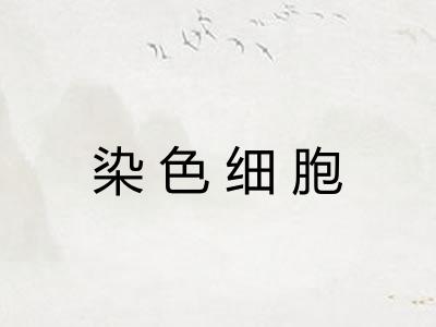 染色细胞
