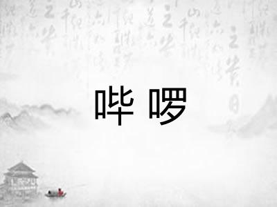 哔啰
