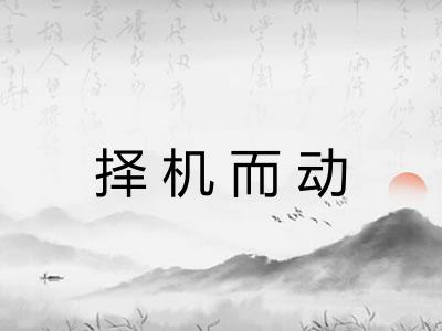 择机而动