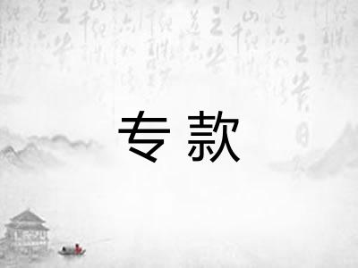 专款