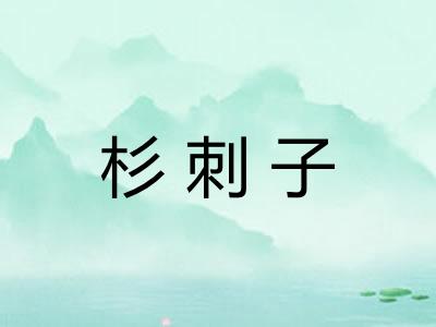 杉刺子