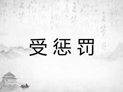 受惩罚