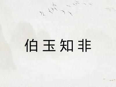 伯玉知非