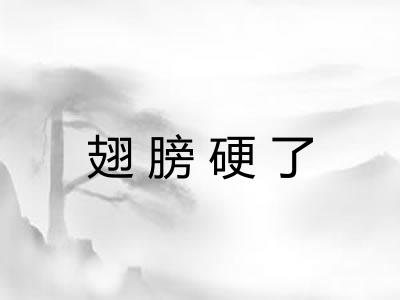 翅膀硬了