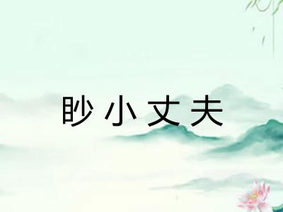 眇小丈夫