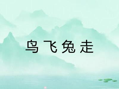 鸟飞兔走