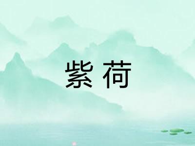 紫荷