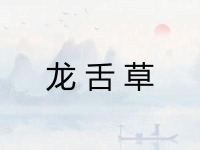 龙舌草