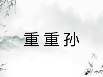 重重孙