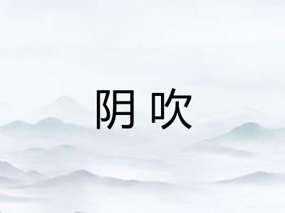 阴吹