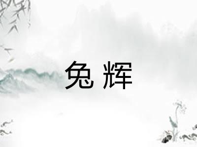兔辉