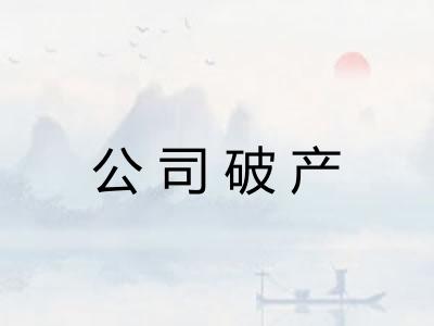 公司破产