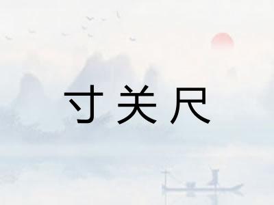 寸关尺