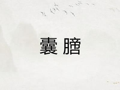 囊膪