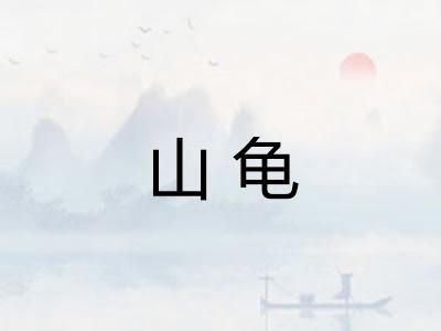 山龟