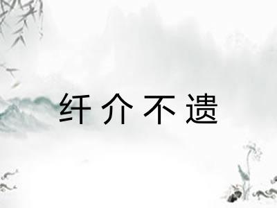 纤介不遗