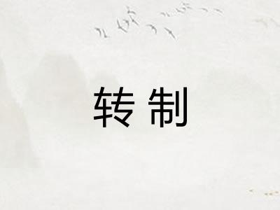 转制