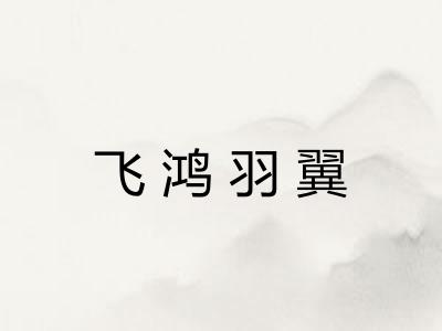 飞鸿羽翼