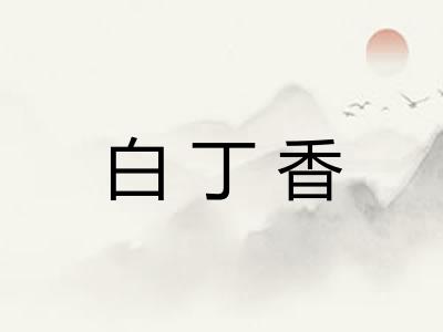 白丁香