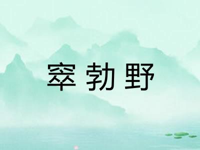 窣勃野
