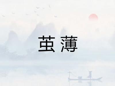 茧薄