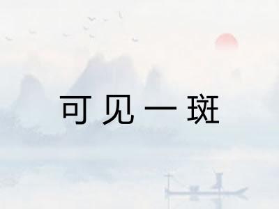 可见一斑
