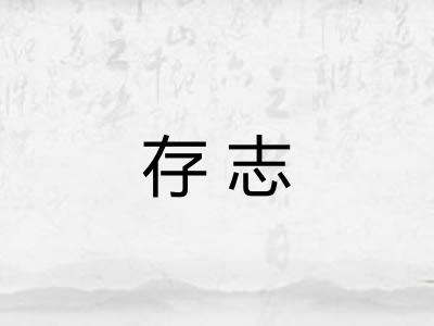 存志