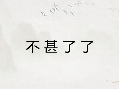 不甚了了