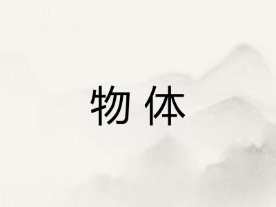 物体