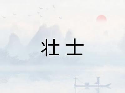 壮士