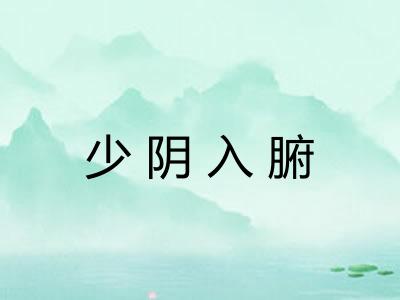 少阴入腑
