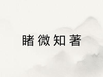 睹微知著