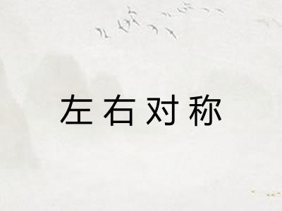 左右对称