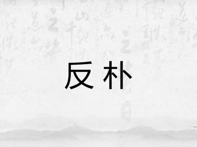 反朴
