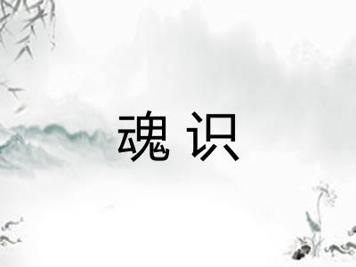 魂识