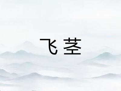 飞茎